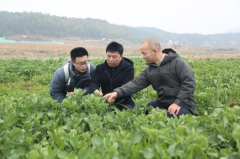 <strong>财产融合的浦城实践：一粒米取一片叶的</strong>